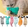 pzaDCute-Cat-Toys-Funny-Interactive-Plush-Cat-Toy-Mini-Teeth-Grinding-Catnip-Toys-Kitten-Chewing-Mouse.jpg