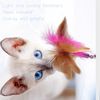 cB4RInteractive-Cat-Toys-Funny-Feather-Teaser-Stick-with-Bell-Pets-Collar-Kitten-Playing-Teaser-Wand-Training.jpg
