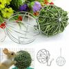 0lAoStainless-Steel-Round-Sphere-Feed-Dispense-Exercise-Hanging-Hay-Ball-Guinea-Pig-Hamster-Rabbit-Electroplating-Grass.jpg
