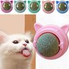 yygqCatnip-Toy-Catnip-Balls-for-Cat-Wall-Stick-on-Licking-Catnip-Wall-Ball-Catmint-Candy-Catnip.jpg