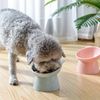 tGrr2023-New-Cat-Bowl-High-Foot-Dog-Bowl-45-Neck-Protector-Cat-Pet-Food-Water-Bowls.jpg
