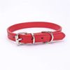 0sjpPet-Supplies-Dog-Collar-Alloy-Buckle-Dog-Chain-Cat-Necklace-Size-Adjustable-for-Small-and-Medium.jpg