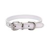 LAAXPet-Supplies-Dog-Collar-Alloy-Buckle-Dog-Chain-Cat-Necklace-Size-Adjustable-for-Small-and-Medium.jpg