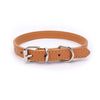 xJnzPet-Supplies-Dog-Collar-Alloy-Buckle-Dog-Chain-Cat-Necklace-Size-Adjustable-for-Small-and-Medium.jpg