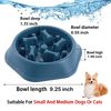 6Vb5Slow-Food-Bowl-for-Small-Dogs-Choke-proof-Slow-Eating-Pet-Feeder-Bowls-Non-slip-Puppy.jpg
