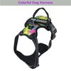 Yp5VNew-Reflective-Dog-Harness-Leash-Adjustable-Mesh-Pet-Collar-Chest-Strap-Leash-Harnesses-With-Traction-Rope.jpg