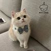 6DkBPearl-Dog-Collar-Jewelled-Silk-Wedding-Cat-Puppy-Ribbon-Scarf-Pendant-Pet-Bows-Necklace-Satin-New.jpg