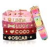 72g9Personalized-Small-Dogs-Chihuahua-Collar-Bling-Rhinestone-Dog-Collars-Free-Custom-Pet-Dogs-Cats-Name-Charms.jpg