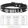 vOOSPersonalized-Small-Dogs-Chihuahua-Collar-Bling-Rhinestone-Dog-Collars-Free-Custom-Pet-Dogs-Cats-Name-Charms.jpg