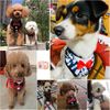 LUBHElegant-Bow-Dog-Collars-Necktie-Traction-Rope-Christmas-Pet-Harness-for-Small-Medium-Dogs-Cat-Chest.jpg