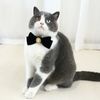 fvfJRetro-Cats-Collars-Velvet-Kitten-Bowknot-Bow-Tie-with-Pearl-Adjustable-Anti-suffocation-Puppy-Necklace-Pets.jpg