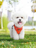 nMyt4-point-Adjustment-Dog-Harness-and-Leash-Set-for-Small-Dogs-Reflective-Mesh-Dog-Harness-Vest.jpg