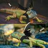 3Mb3Adjustable-Reptile-Lizard-Gecko-Bearded-Dragon-Harness-and-Leash-for-Outdoor-Pet-Chameleon-Supplies.jpg