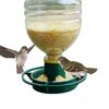 3kPkRecycle-Empty-Soda-Bottle-Top-Bird-Feeder-Automatical-Feeding-Outdoors-Hanging-Feeding-Tray.jpg