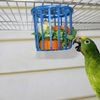 2Ne2Legendog-1pc-Creative-Multi-Purpose-Cage-Hanging-Toys-Bird-Fruit-Vegetable-Feeder-Basket-Parrot-Window-Bird.jpg