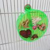 KVn0Rotate-Pet-Parrot-Toys-Wheels-Bite-Chewing-Birds-Foraging-Food-Box-Cage-Feeder-Birds-accessoires.jpg