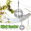 tdPfSuet-Ball-Feeder-Bird-Suet-Balls-Holder-For-Bird-Feeding-Metal-Bird-Feeder-Fat-Ball-Bird.jpg