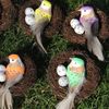 CY5OStraw-Round-Rattan-Bird-Nest-Parrot-Cages-Parrots-Pigeons-Warm-Bedding-Nest-Rattan-Weaving-Bedding-Bird.jpg