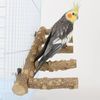 3H63Natural-Wood-Parrot-Bird-Perches-Bird-Stand-Paw-Grinding-Fork-Parakeet-Climb-Stand-Branch-Ladder-Toys.jpg