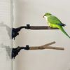PxKOParrots-Cage-Perch-Toys-With-Suction-Cup-Natural-Wood-Standing-Training-Toys-Exercise-Activity-Center.jpg