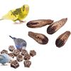8CzHBird-Parrot-Toy-Natural-Chew-Toys-Dried-Star-Fruit-Cage-Accessories-for-Hamsters-Gerbils-Chipmunks-Small.jpg