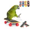 GJKuBird-Toys-Funny-Mini-Skateboard-Parrot-Toy-training-Skateboard-Budgies-Parakeet-Growth-Toy-Pajaros-Intelligence-Bird.jpg