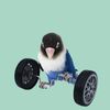 MUjJParrot-Balance-Car-Deboring-Toys-Small-And-Medium-Sized-Bird-Supplies-Roller-Skateboard-Skill-Training-Props.jpg