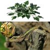 alo0Artificial-Vine-Reptile-Lizards-Terrarium-Decoration-Chameleons-Climb-Rest-Plants-Leaves.jpg