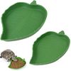 yoyEReptile-Dish-Food-Bowl-Leaf-Shape-Water-feeder-Tortoise-Habitat-Accessories-drink-Plate-For-Turtle-Lizards.jpg