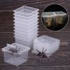 PG2v1Pc-Plastic-Reptiles-Living-Box-Transparent-Reptile-Terrarium-Habitat-for-Scorpion-Spider-Ants-Lizard-Breeding-Feeding.jpg