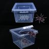 ni781Pc-Plastic-Reptiles-Living-Box-Transparent-Reptile-Terrarium-Habitat-for-Scorpion-Spider-Ants-Lizard-Breeding-Feeding.jpg