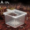 Rtmi1Pc-Plastic-Reptiles-Living-Box-Transparent-Reptile-Terrarium-Habitat-for-Scorpion-Spider-Ants-Lizard-Breeding-Feeding.jpg
