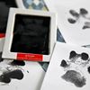 iDPiPet-Dog-Cat-Paw-Print-Ink-Kit-Pad-Baby-Handprint-Footprint-Safe-Non-toxic-Mess-free.jpg