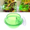 RnBFReptile-Anti-escape-Food-Bowl-Cup-Turtle-Lizard-Worm-Live-Food-Container.jpg