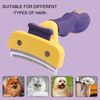 Pvk6Professional-Pet-Grooming-Brush-Supplies-for-Dogs-and-Cats-Gentle-Pet-Hair-Remover-Effective-Tangle-Mat.jpg