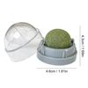 3rJ2Cat-Toys-Catnip-Wall-Ball-Clean-Mouth-Promote-Digestion-Kitten-Candy-Licking-Snacks-Pet-Mint-Ball.jpg