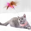 GFdlInteractive-Cat-Toys-Funny-Feather-Teaser-Stick-with-Bell-Pets-Collar-Kitten-Playing-Teaser-Wand-Training.jpg