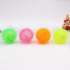 nbsf1PC-Funny-Dog-Toys-Colorful-Luminous-Elastic-Ball-Chewing-Playing-Sound-Toy-Ball-for-Punny-Kitten.jpg