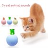 ClAVInteractive-Ball-Cat-Toys-New-Gravity-Ball-Smart-Touch-Sounding-Toys-Interactive-Squeak-Toys-Ball-Simulated.jpg