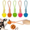 78qoDog-Ball-Toy-with-Rope-Interactive-Leaking-Balls-for-Small-Large-Dogs-Bite-Resistant-Chew-Toys.jpg