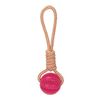 QSJYDog-Ball-Toy-with-Rope-Interactive-Leaking-Balls-for-Small-Large-Dogs-Bite-Resistant-Chew-Toys.jpg