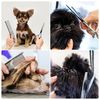 PKI75pcs-Set-Stainless-Steel-Pet-Dogs-Grooming-Scissors-Suit-Hairdresser-Scissors-For-Dogs-Professional-Animal-Barber.jpg