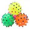 bWO0Round-Dog-Ball-Toy-Durable-Puppy-Training-Ball-Decompression-Display-Mold-Squeaky-Interactive-Training-Pet-Ball.jpg