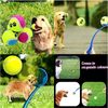 5xdVPet-Throwing-Stick-Dog-Hand-Throwing-Ball-Toys-Pet-Tennis-Launcher-Pole-Outdoor-Activities-Dogs-Training.jpg