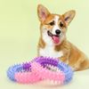 MYhrPet-Dog-Toys-Rubber-Thorn-Ring-Bite-Resistant-Tooth-Cleaning-TPR-Molar-Chew-Toys-for-Dogs.jpg