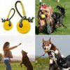 XVOn7-9cm-Indestructible-Solid-Rubber-Ball-Pet-Dog-Training-Chew-Play-Fetch-Bite-Toy-Dog-Toys.jpg