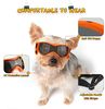t1MRUV-Protective-Goggles-for-Dogs-Cat-Sunglasses-Cool-Protection-Eyewear-for-Small-Medium-Dogs-Outdoor-Riding.jpg