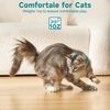 GCXjATUBAN-Pet-Smart-Cat-Laser-Collar-Cat-Toys-Electric-Smart-Amusing-Collar-for-Kitten-Interactive-Cat.jpg