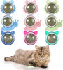 qaHIATUBAN-Catnip-Wall-Ball-Cat-Toys-Catnip-Balls-for-Cats-Wall-Mounted-Catnip-Ball-Toy-Catnip.jpg