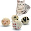 81NY4-Pcs-Ball-Cat-Toy-Interactive-Cat-Toys-Play-Chewing-Rattle-Scratch-Catch-Pet-Kitten-Cat.jpg